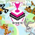 Boomerang Sports 